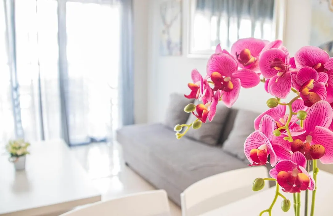 Recogidas Apartment 23-1